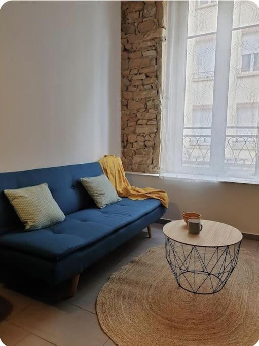 P'Tit Canut : Studio Tout Equipe Proche Centre Et Gare Lyon Eksteriør billede